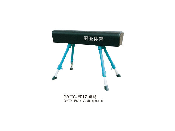 GYTY-F017跳马