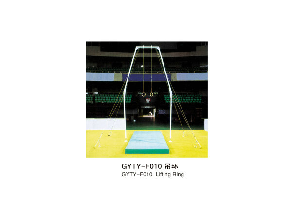 GYTY-F010吊环