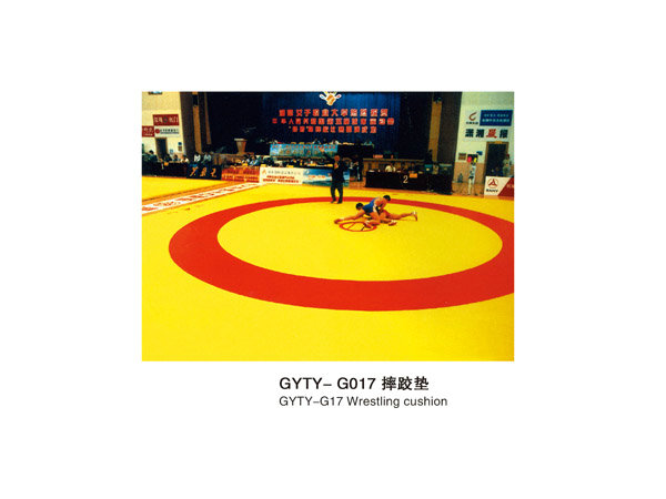 GYTY-G017摔跤垫